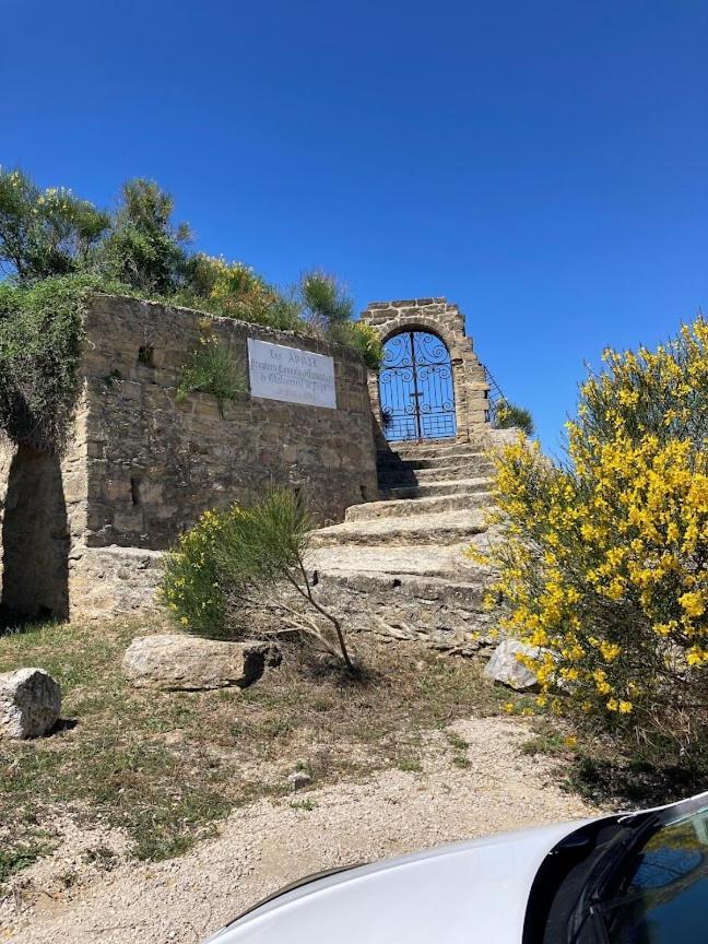Bienvenue Chez Shiva Apartment Chateauneuf-du-Pape Luaran gambar