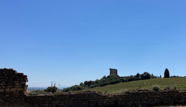 Bienvenue Chez Shiva Apartment Chateauneuf-du-Pape Luaran gambar
